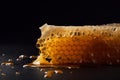 Fresh honey in a honeycomb AI generated