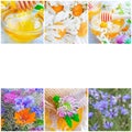 Fresh honey summer flowers collage harvest Royalty Free Stock Photo