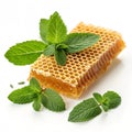 Honeycomb with mint leaves isolated on white background