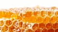 Fresh honeycomb pieces with dripping golden honey, isolated on white background. Close up. Concept of organic food Royalty Free Stock Photo