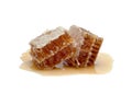 Fresh Honeycomb slice and honey isolated on white background Royalty Free Stock Photo