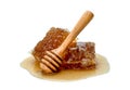 Fresh Honeycomb slice and wooden honey dipper isolated on white background Royalty Free Stock Photo