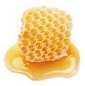 Fresh honeycombs filled with fresh honey on white background. File contains clipping path Royalty Free Stock Photo
