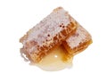 Fresh honeycombs on white background. clipping path Royalty Free Stock Photo