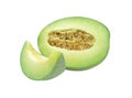 Fresh honeydew fruit slice to piece and half isolated on white baclground with clipping path. Melon peel grunge texture. sweet des Royalty Free Stock Photo