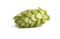 Fresh hop cone isolated on a white background. Royalty Free Stock Photo