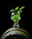 Fresh hop plant cones in craft beer glass Royalty Free Stock Photo