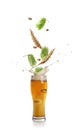 Fresh hops flowers with leaves and wheat grains falling into glass of beer on white background Royalty Free Stock Photo