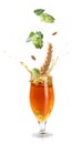 Fresh hops flowers with leaves and wheat grains falling into glass of beer on white background Royalty Free Stock Photo