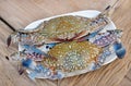 Fresh horse crab on white plate Royalty Free Stock Photo