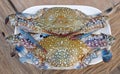 Fresh horse crab on white plate Royalty Free Stock Photo