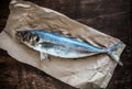 A fresh horse mackerel on a rustic paper. Royalty Free Stock Photo