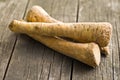 Fresh horseradish root Royalty Free Stock Photo