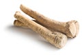 Fresh horseradish root Royalty Free Stock Photo