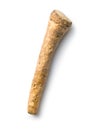 Fresh horseradish root Royalty Free Stock Photo