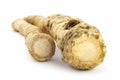 Fresh horseradish roots Royalty Free Stock Photo