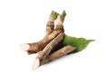 Fresh horseradish roots and leaf isolated on white