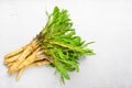 Fresh horseradish. The white Wooden desk Royalty Free Stock Photo