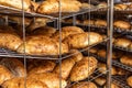 Fresh hot baked bread loafs Royalty Free Stock Photo