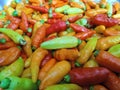 Fresh hot chilies Royalty Free Stock Photo