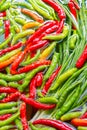 Fresh  hot chilli peppers Royalty Free Stock Photo