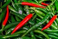 Fresh hot colorful chili peppers in a supermarket Royalty Free Stock Photo