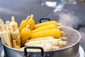 Fresh hot corn on the cob steaming from the cart of a street food vendor - Freshly cooked corn cobs stacked and for sale Royalty Free Stock Photo