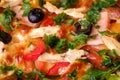 Fresh hot homemade pizza with chicken meat, ham, tomato, mozzarella cheese, black olives and parsley, macro view texture Royalty Free Stock Photo