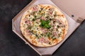 Fresh hot pizza with bacon, onions, greens and tomatoes made in an oven Royalty Free Stock Photo