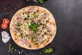 Fresh hot pizza with bacon, onions, greens and tomatoes made in an oven Royalty Free Stock Photo