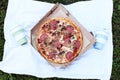 Fresh hot pizza with in the fresh air  picnic  food at the resort Royalty Free Stock Photo