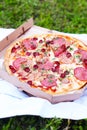 Fresh hot pizza with tomato sauce  cheese  bacon  sausage and spices in the fresh air  picnic  food at the resort Royalty Free Stock Photo