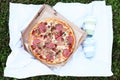 Fresh hot pizza in the fresh air  picnic  food at the resort Royalty Free Stock Photo