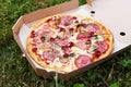 Fresh hot pizza with tomato sauce, cheese, bacon, sausage and spices in the fresh air, picnic, food at the resort Royalty Free Stock Photo