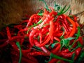 fresh hot red curly chilies for chili sauce Royalty Free Stock Photo