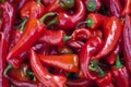 Fresh hot red peppers Royalty Free Stock Photo