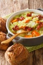 Fresh hot savoy cabbage soup with vegetables and fried bacon closeup in a bowl. vertical Royalty Free Stock Photo