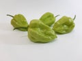 Fresh Hot and Spicy Green Chillie Peppers on White Background