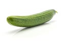 Fresh Hothouse Cucumber isolated on white Royalty Free Stock Photo