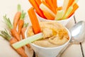 Fresh hummus dip with raw carrot and celery Royalty Free Stock Photo