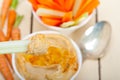 Fresh hummus dip with raw carrot and celery Royalty Free Stock Photo