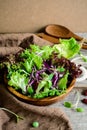 Fresh hydroponic salad on wooden table