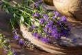 Fresh hyssop flowers on a table Royalty Free Stock Photo