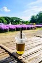 Fresh ice tea in plastic glass with flower garden Royalty Free Stock Photo