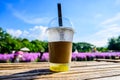 Fresh ice tea in plastic glass with flower garden Royalty Free Stock Photo
