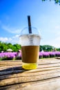 Fresh ice tea in plastic glass with flower garden Royalty Free Stock Photo