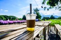 Fresh ice tea in plastic glass with flower garden Royalty Free Stock Photo