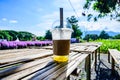 Fresh ice tea in plastic glass with flower garden Royalty Free Stock Photo