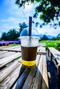 Fresh ice tea in plastic glass with flower garden Royalty Free Stock Photo