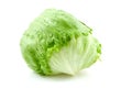 Fresh iceberg lettuce